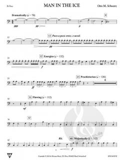 Man in the Ice (Otto M. Schwarz) 