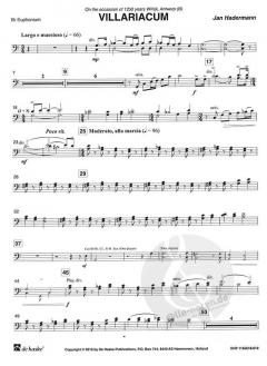 Villariacum von Jan Hadermann 