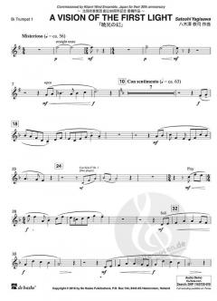 A Vision of the First Light von Satoshi Yagisawa 