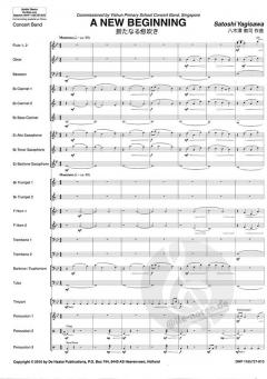 A New Beginning von Satoshi Yagisawa 