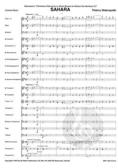 Sahara von Thierry Deleruyelle 