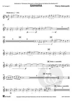 Sahara von Thierry Deleruyelle 