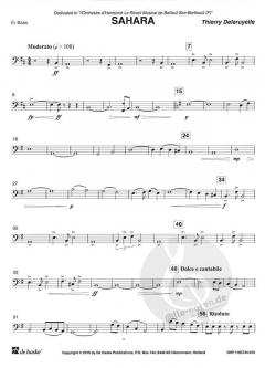 Sahara von Thierry Deleruyelle 