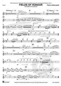 Fields of Honour von Thierry Deleruyelle 