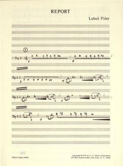 Report von Luboš Fišer 