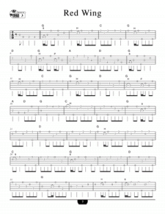 Solo Banjo von Alan Munde im Alle Noten Shop kaufen