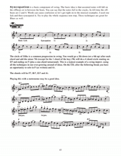 Getting Into Blues Violin im Alle Noten Shop kaufen - MB21269M