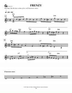 Gypsy Violin Basics - A Beginner's Guide von Mary Ann Harbar im Alle Noten Shop kaufen