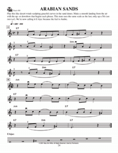 Gypsy Violin Basics - A Beginner's Guide von Mary Ann Harbar im Alle Noten Shop kaufen