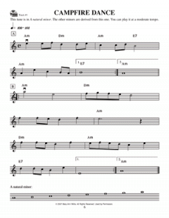 Gypsy Violin Basics - A Beginner's Guide von Mary Ann Harbar im Alle Noten Shop kaufen