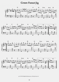 100 Irish Tunes for Piano Accordion von David DiGiuseppe 