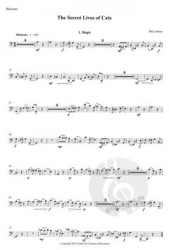 The Secret Lives Of Cats von Peter Thorne für Holzbläser Quartett im Alle Noten Shop kaufen
