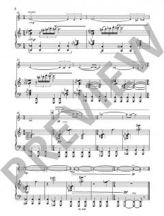 Triptychon von Vladislav Shoot für Violine und Klavier im Alle Noten Shop kaufen (Partitur)