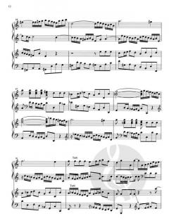 Ouvertüre C-Dur - Orchestersuite Nr. 1 BWV 1066 (J.S. Bach) 