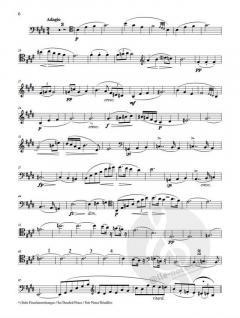 Sonate D 821 von Franz Schubert für Arpeggione und Klavier (Bearbeitung für Cello und Klavier) im Alle Noten Shop kaufen