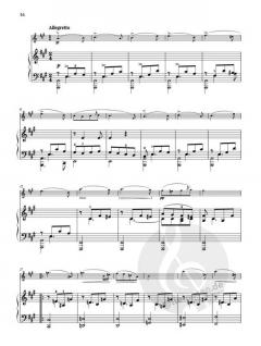 Sonate D 821 von Franz Schubert für Arpeggione und Klavier (Bearbeitung für Violine und Klavier) im Alle Noten Shop kaufen