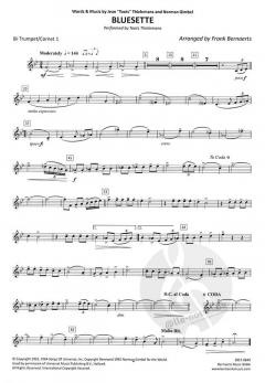 Bluesette (Toots Thielemans) 