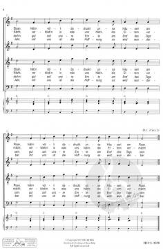 A sunniges Platzl - Ein Platz an der Sonne (Lorenz Maierhofer) 