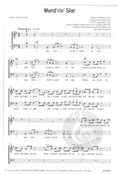 Mann singt: 10 Cowboy & Western Songs 