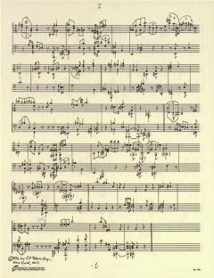 Studies für Klavier von Christian Wolff im Alle Noten Shop kaufen