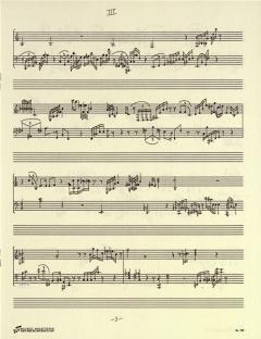 Studies für Klavier von Christian Wolff im Alle Noten Shop kaufen