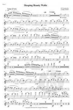Sleeping Beauty Waltz von Pjotr Iljitsch Tschaikowski für 4 Flöten im Alle Noten Shop kaufen