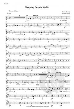 Sleeping Beauty Waltz von Pjotr Iljitsch Tschaikowski für 4 Flöten im Alle Noten Shop kaufen