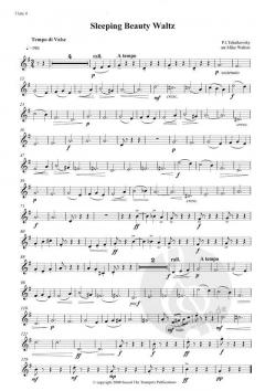 Sleeping Beauty Waltz von Pjotr Iljitsch Tschaikowski für 4 Flöten im Alle Noten Shop kaufen