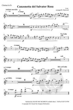 Canzonetta Del Salvator Rosa von Franz Liszt 