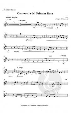Canzonetta Del Salvator Rosa von Franz Liszt 