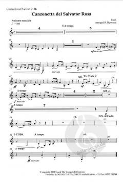 Canzonetta Del Salvator Rosa von Franz Liszt 