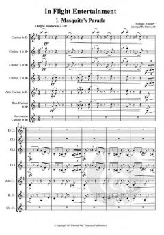 In Flight Entertainment von Howard Whitney 