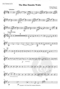 The Blue Danube Waltz von Johann Strauss (Sohn) 