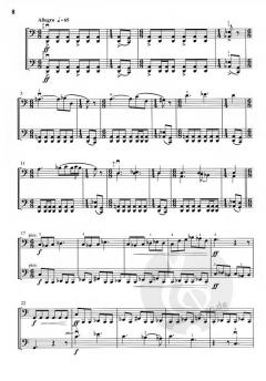 Organum von David Floer 