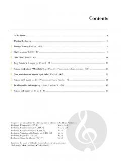 At The Piano - Beethoven 