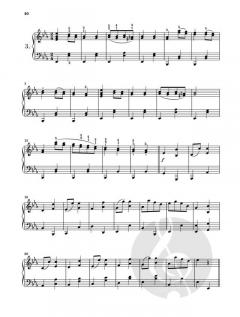 At The Piano - Beethoven 