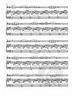 Papillon op. 77 von Gabriel Fauré für Cello und Klavier im Alle Noten Shop kaufen