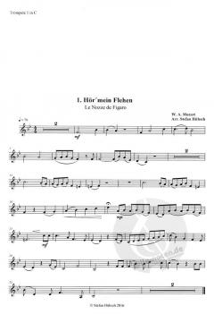 Hochzeit des Figaro (Wolfgang Amadeus Mozart) 