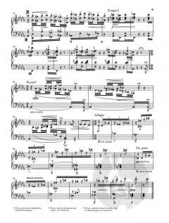 Im Nebel von Michael Patrick Kelly 