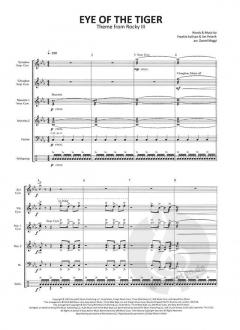 Eye Of The Tiger von Frank Sullivan 