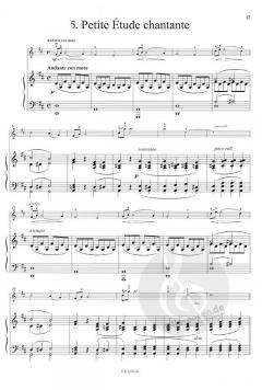 Kleine leichte Stücke op. 149 von Charles Jean-Baptiste Dancla für Violine und Klavier im Alle Noten Shop kaufen