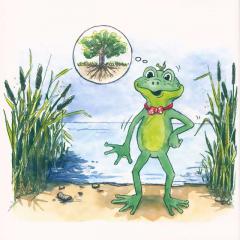 Stimmspaß mit dem kleinen Singfrosch - Bilderbuch mit CD von Stefanie Fersch 