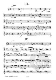 Flatuor von Gabriel Mãlãncioiu für 4 Flöten im Alle Noten Shop kaufen