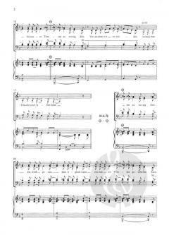 Solang man Träume noch leben kann (Aron Strobel) 