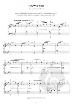 More Grade 4 Piano Solos 