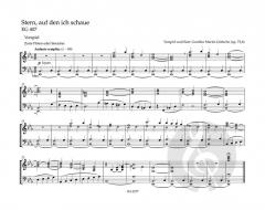 Kleine Choralvorspiele und Begleitsätze von Gunther Martin Göttsche 