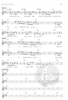 Singer/Songwriter - Das Songbook 2 