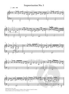 Crossing Borders Vol. 5 von Remo Vinciguerra 