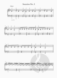 Crossing Borders Vol. 6 von Remo Vinciguerra 