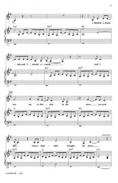 Landslide von Stevie Nicks 